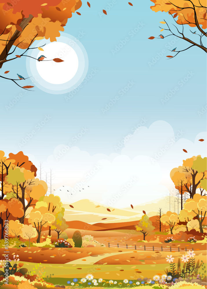 Autumn landscape of farm field with blue sky background, Fall season in ...