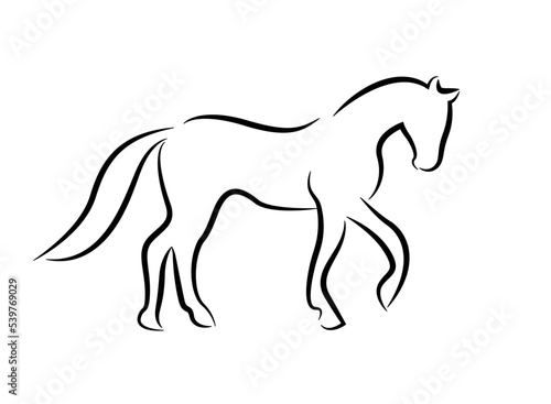 Black horse silhouette isolated on white background. Horse logo. Black and white graphics. Elegant creative horse logo symbol design vector.