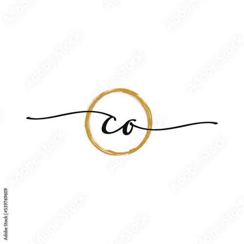 Letter C O Initial Beauty Logo Template © waniperih
