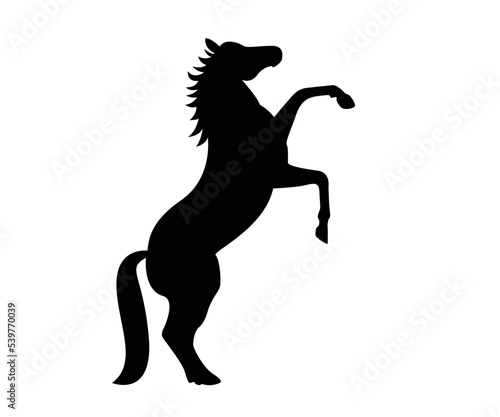 Fototapeta Naklejka Na Ścianę i Meble -  silhouette of a horse's , mascot, wild horse, arabic beast for race icon.  logo design template. Vector silhouette of a horse. beautiful horse vector sketch illustration
