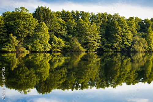 Lake with reflection of trees with calm wind
