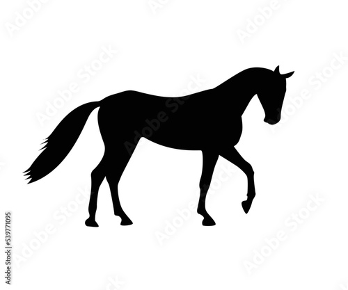 silhouette of a horse's , mascot, wild horse, arabic beast for race icon. logo design template. Vector silhouette of a horse. beautiful horse vector sketch illustration