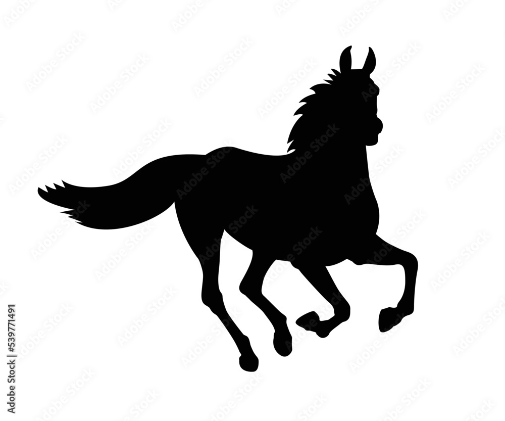 silhouette of a horse's , mascot, wild horse, arabic beast for race icon.  logo design template. Vector silhouette of a horse. beautiful horse vector sketch illustration