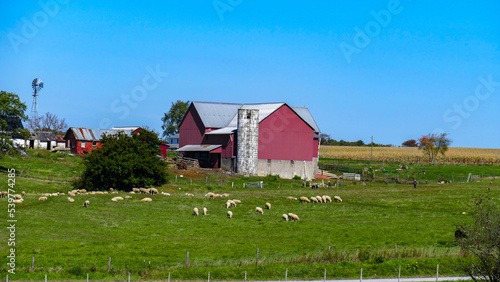red barn and animals in the Amish County, Ohio