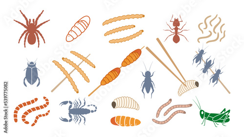 Edible colored insects set. Organic red ants with salt and dried green crickets on stick. Protein silkworm larvae with fried grasshoppers and vector spiders