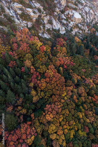 Aerial of fall colors in little cottonwood canyon utah.