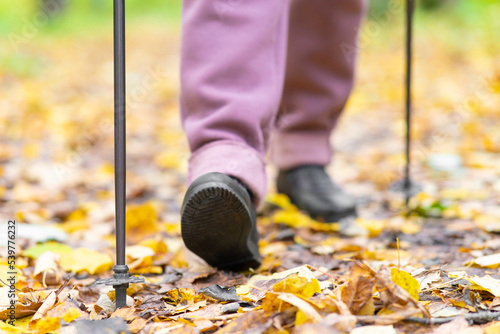 Close-up of a Scandinavian stick. Legs in purple pants take a step on the autumn orange leaves. The outsole is visible.