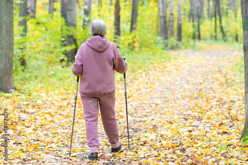 Unrecognizable pensioner woman in purple suit with Nordic walking sticks. On beautiful autumn forest path. Healthy lifestyle. Full length portrait.