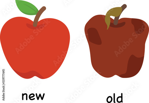 Opposite words new and old vector illustration