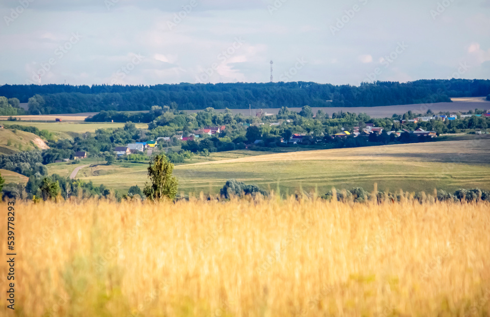modern Russian village on the background of a yellow field
