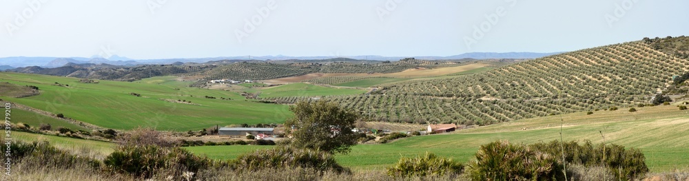Panorama del valle de Antequera, Málaga, Andalucía, España
