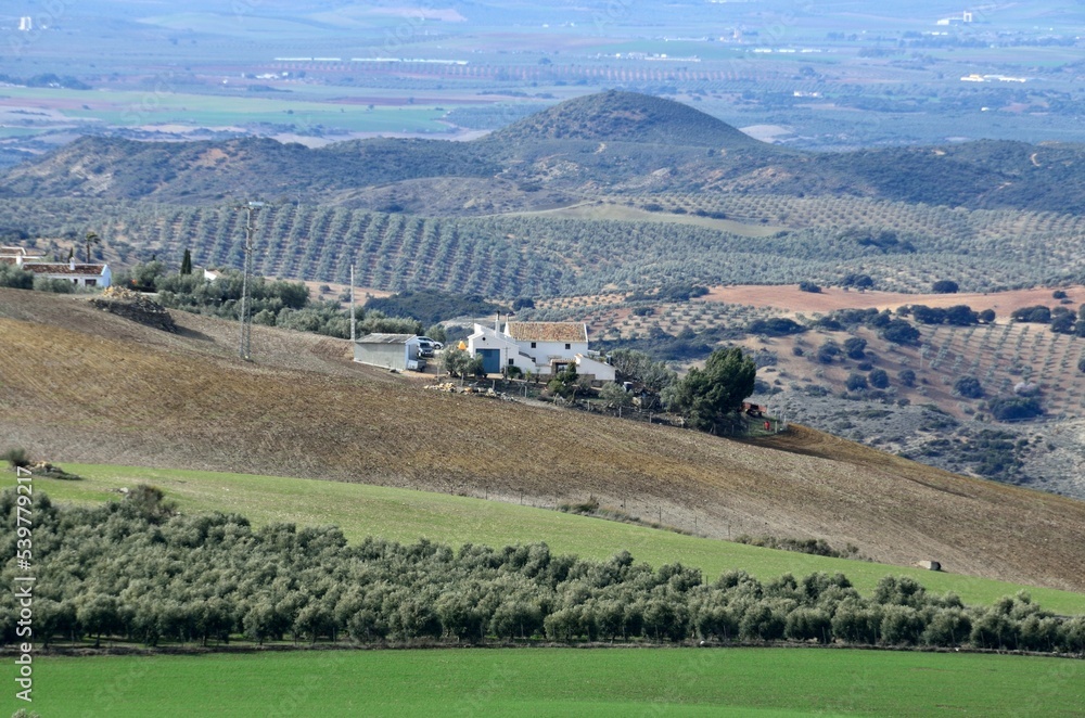 Valle en el sur de la Comarca de Antequera, Málaga, Andalucía, España