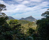 View of the great rainforest, Atlantic Forest, inside the city of Rio de Janeiro, Pedra da Gavea Mountain Peak rock formation in the center, Brazil
