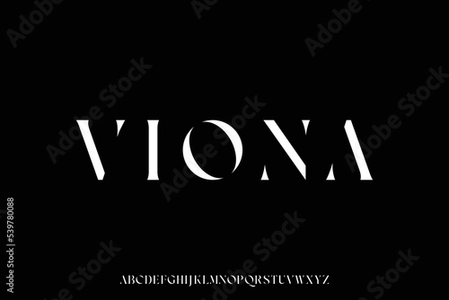 Elegant luxury abstract stencil type serif font vector