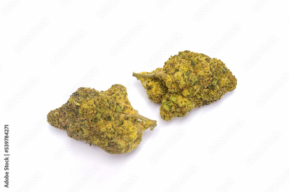 cannabis flower, cannabis, cannabis flower with flowers and shadows on white background cannabis flower, cannabis, cannabis flower with flowers and shadows on white background