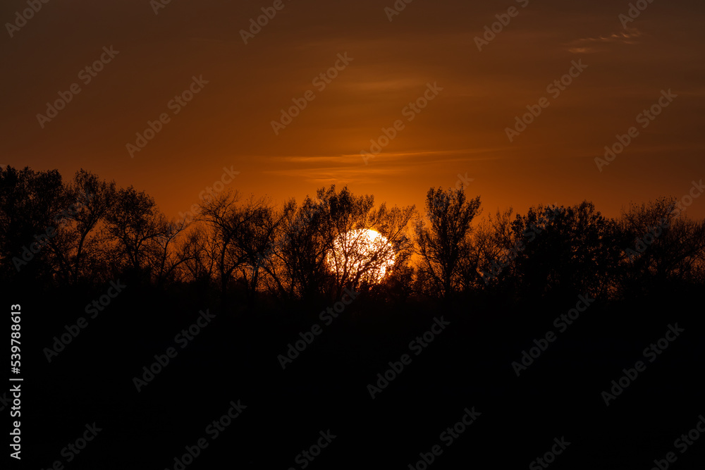 The Sun goes down under the horizon and hides behind the trees. Sunset photographed through a telephoto lens