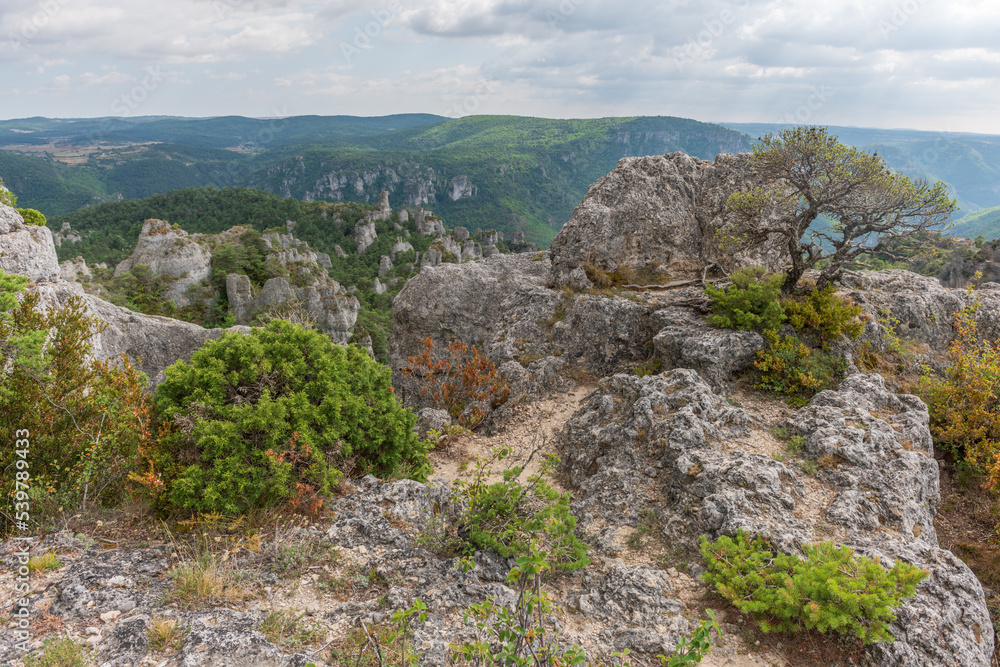 The city of stones, within Grands Causses Regional Natural Park, listed natural site with Dourbie Gorges at bottom. The city of stones, within Grands Causses Regional Natural Park, listed natural site with Dourbie Gorges at bottom.