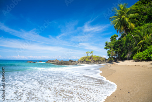 Konstfotografi Cano Beach with coconut trees