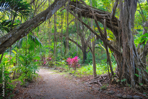 Nature Paints Montezuma 