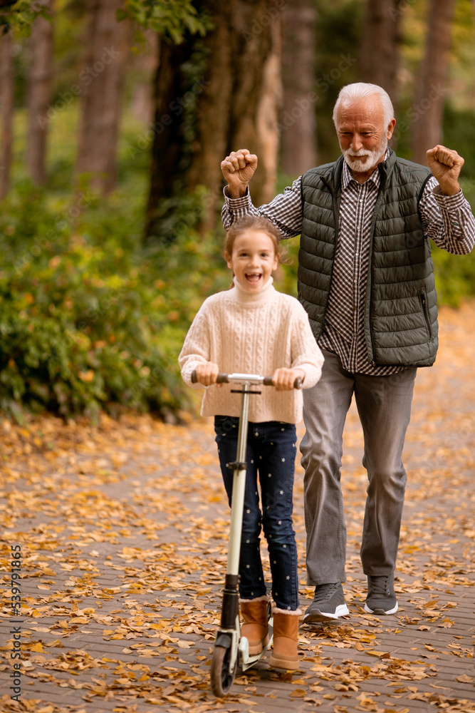 Obraz premium Senior man teaching his granddaughter how to ride kick scooter in park