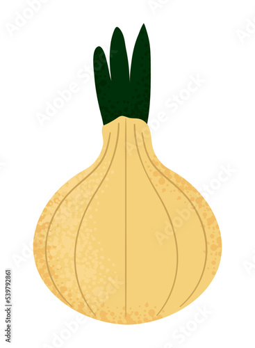 onion vegetable icon