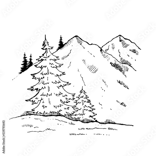 vector illustration linear landscape on white background. landscape in minimalist sketch style. The figure shows forest trees and mountains