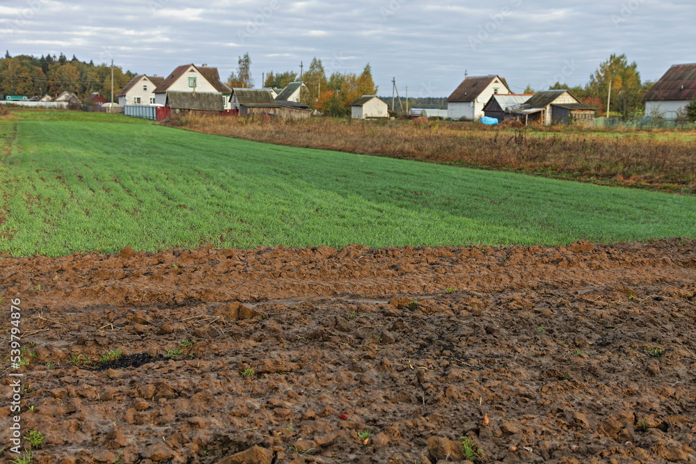 Obraz premium Semi plowed brown green field with village houses on horizon at autumn . Beautiful Russian countryside landscape