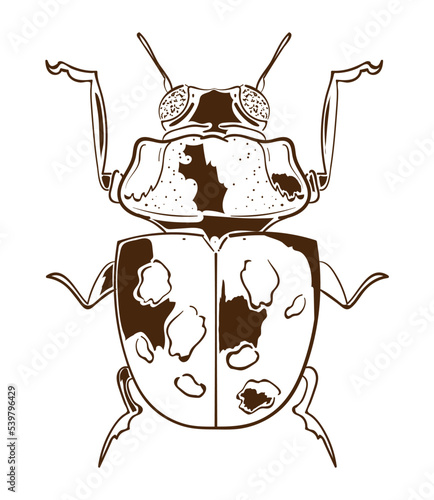 bug icon on white background