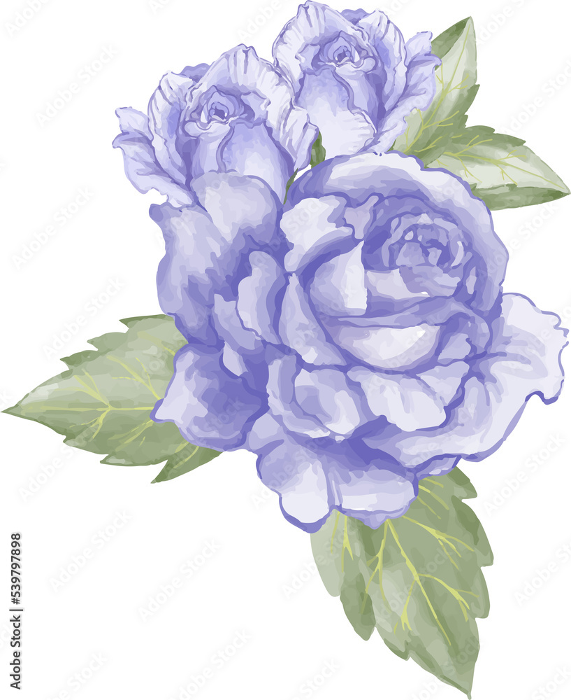 bouquet of purple blue roses