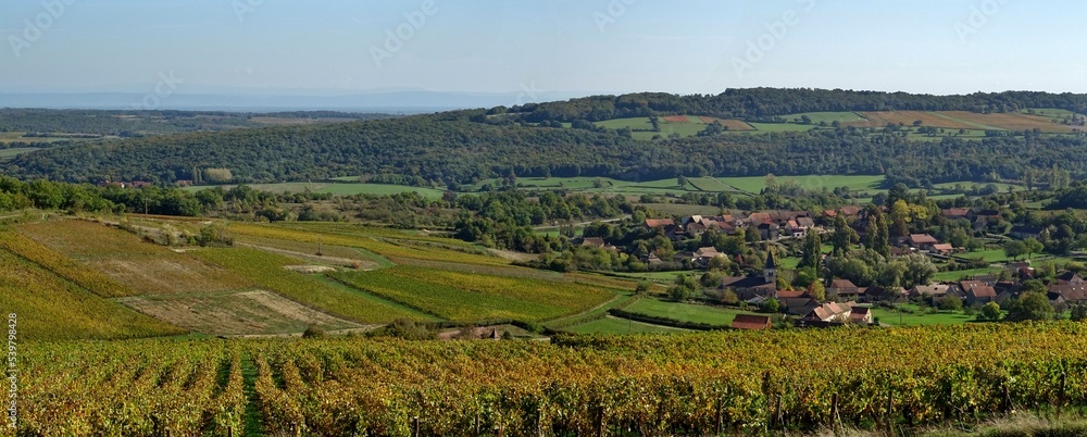 Village et vignes en Bourgogne du sud.