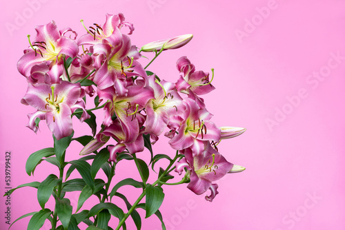 Bouquet of pink flowers on pink background. Space for text. 