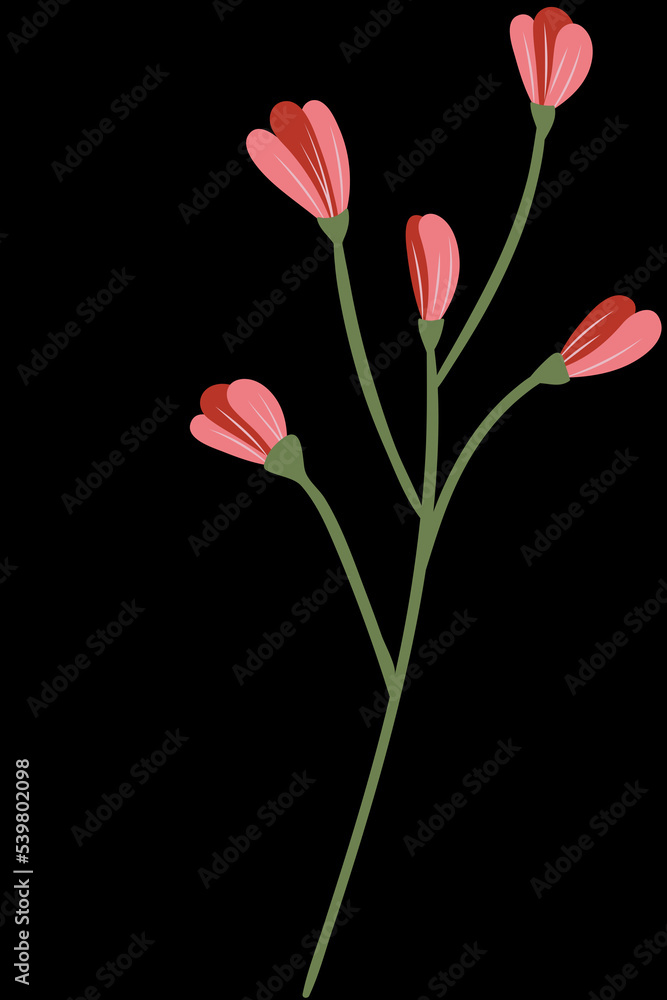 bouquet of tulips bouquet of tulips