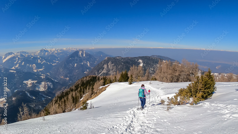 Woman on a snow shoe track leading to mountain summit Freiberg near Zell Pfarre (Sele), Austrian Alps, Carinthia (Kaernten), Austria, Europe. Winter wonderland on sunny day in Karawanks, Julian Alps