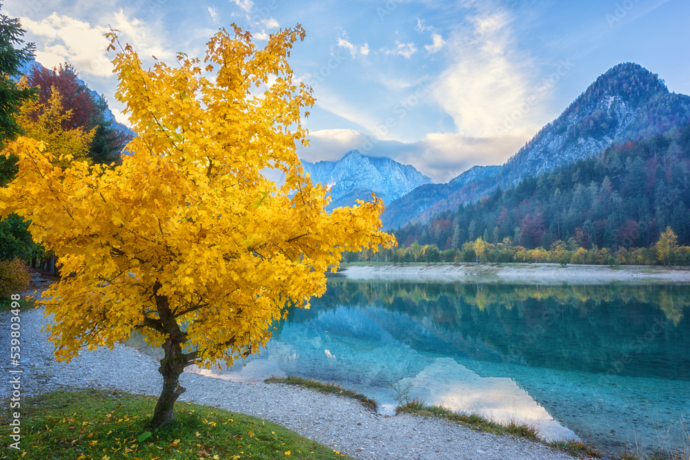 Jasna lake in the Triglav national park with crystal clear water, yellow tree, mountain peaks and blue sky with clouds, amazing autumn landscape, outdoor travel background, Kranjska Gora, Slovenia