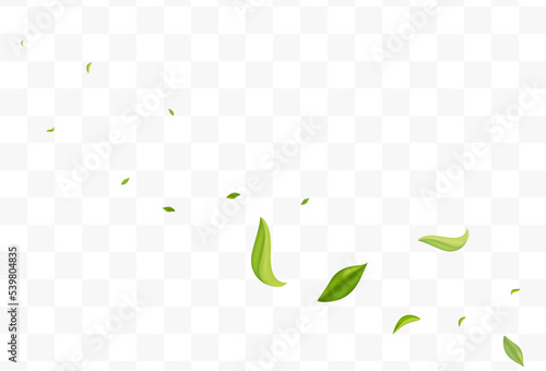 Lime Greens Motion Vector Transparent Background