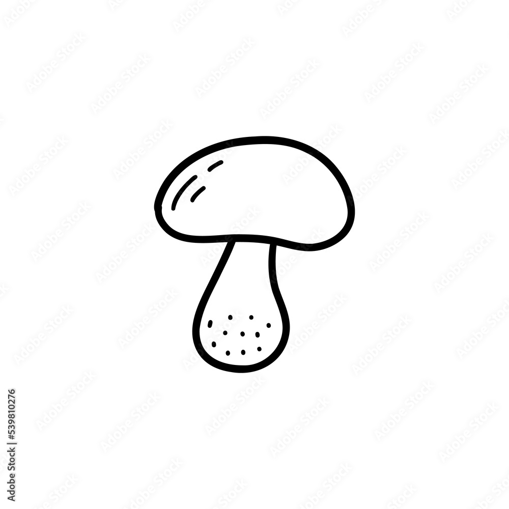 Edible mushroom on a thin stalk. Boletus or white mushroom. Black and white vector isolated illustration hand drawn doodle. Single element, print or card. Forest harvest Edible mushroom on a thin stalk. Boletus or white mushroom. Black and white vector isolated illustration hand drawn doodle. Single element, print or card. Forest harvest