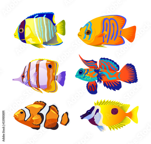 Colorful coral fish on white background cartoon illustration set. Group of beautiful tropical reef marine animals or aquarium fish of different color. Underwater life, ocean water, sea concept
