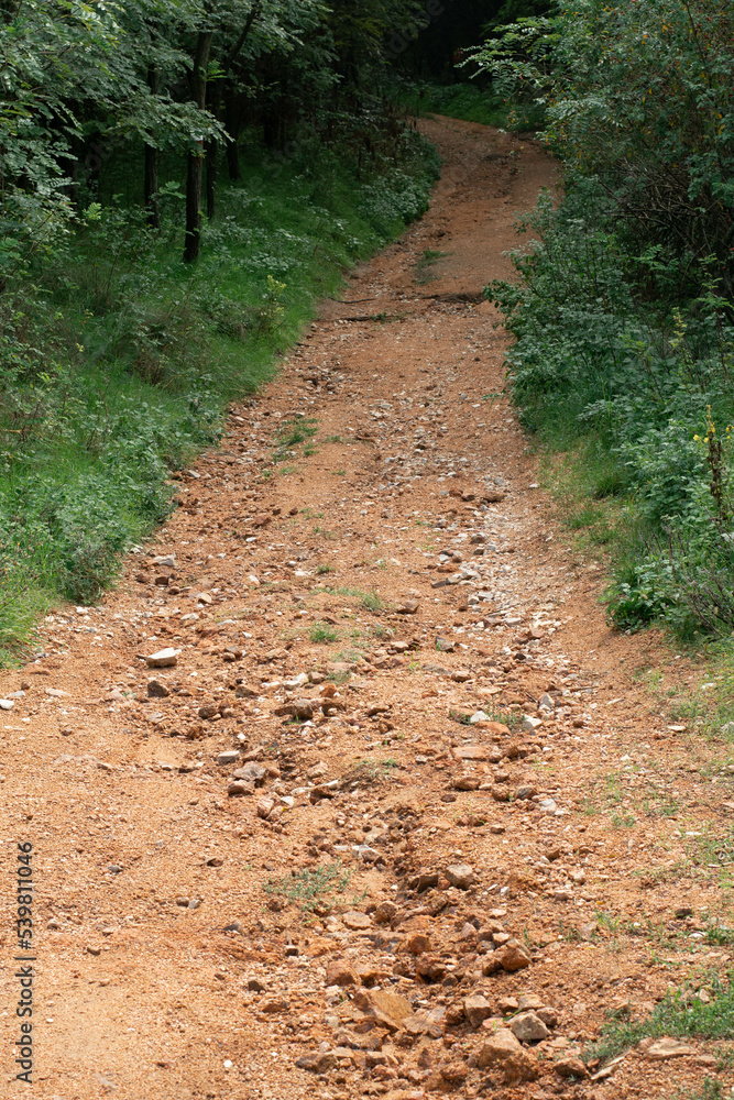 Red Gravel Hiking Trail in a Forest Red Gravel Hiking Trail in a Forest