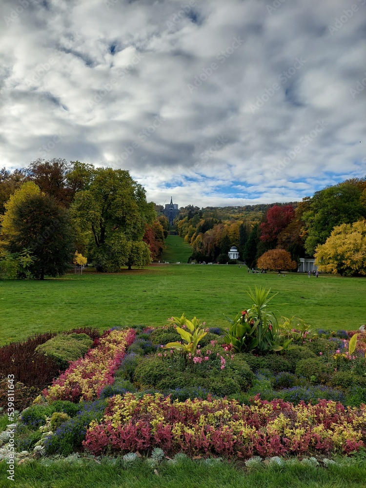 Obraz premium autumn in the park