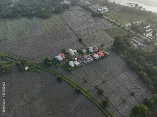 Row of houses in rice fields, Sri Lanka