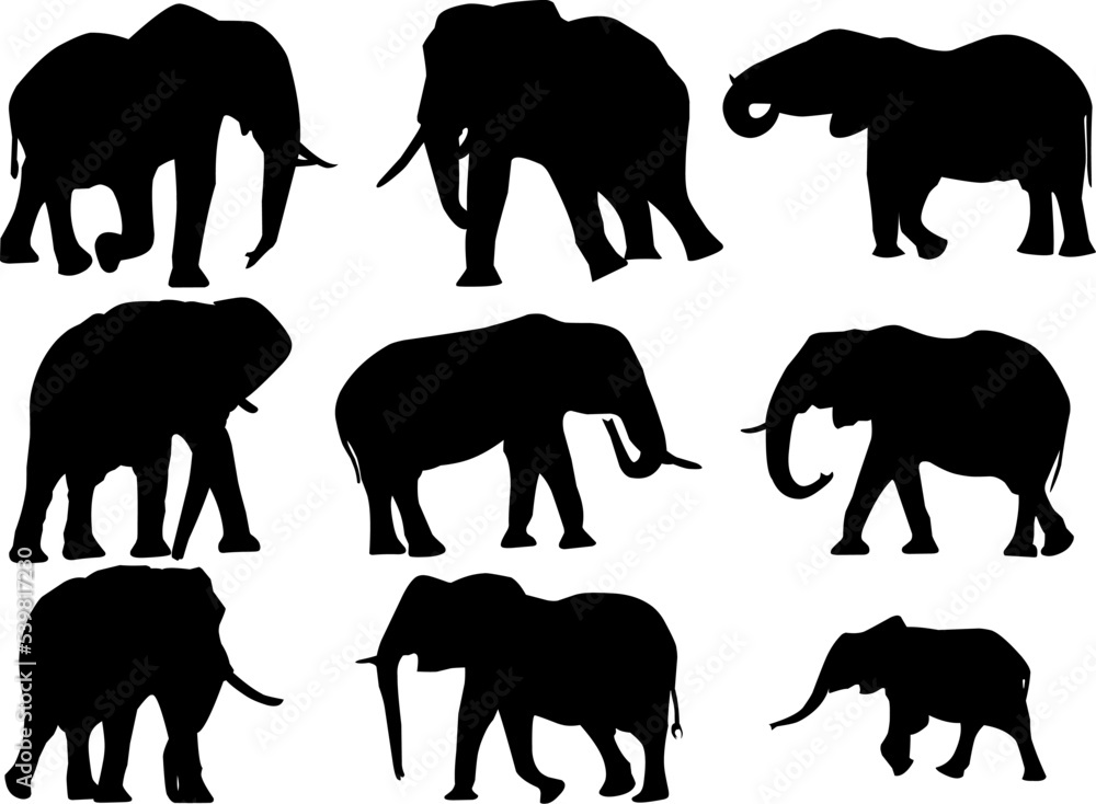 set of elephants set of elephants
