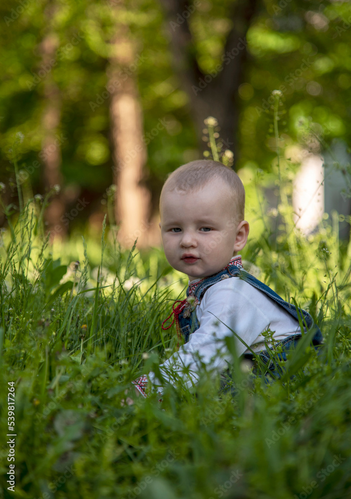 Baby boy in Ukrainian vyshyvanka in the park Baby boy in Ukrainian vyshyvanka in the park