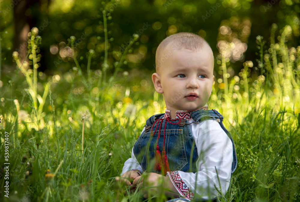 Baby boy in Ukrainian vyshyvanka in the park Baby boy in Ukrainian vyshyvanka in the park
