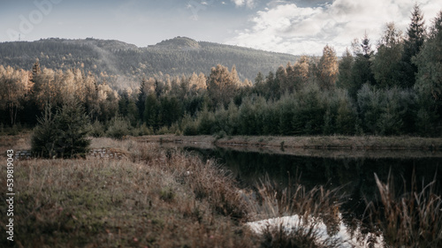 Fototapeta Naklejka Na Ścianę i Meble -  