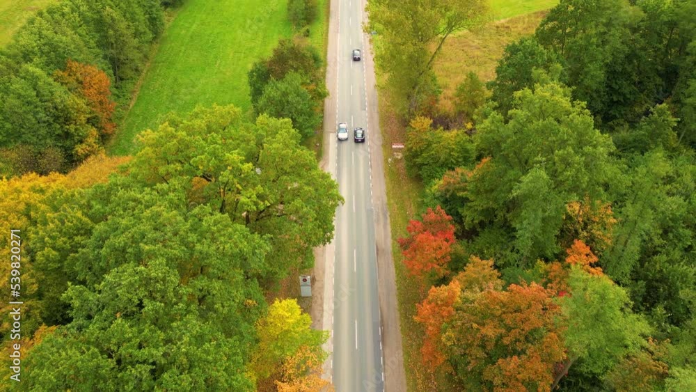 Aerial View Above Road in Forest in Fall With Cars. Aerial Top View Over Straight Road With Cars in Colorful Countryside Autumn Forest. Fall Orange, Green, Yellow, Red Leaves Trees Woods. Aerial View Above Road in Forest in Fall With Cars. Aerial Top View Over Straight Road With Cars in Colorful Countryside Autumn Forest. Fall Orange, Green, Yellow, Red Leaves Trees Woods.