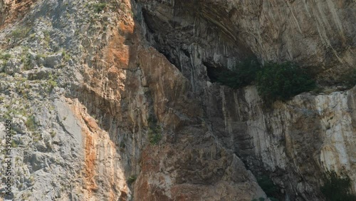 Swallow Birds Flying Around Mountain Cliff Wall, Static