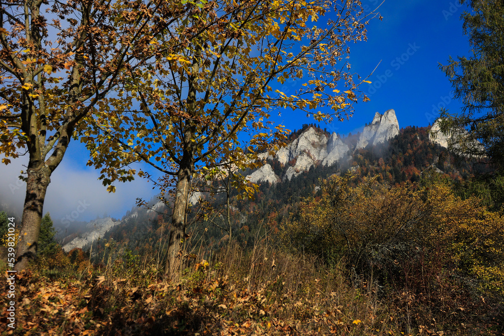 Pieniny