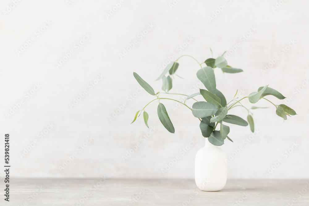 Green eucalyptus leaves in vase. Front view. Place for text, copy space, mockup. Green eucalyptus leaves in vase. Front view. Place for text, copy space, mockup.