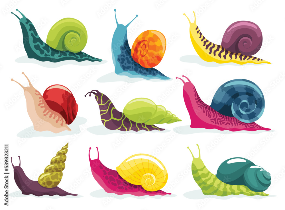 Snails crawling set. Collection snailfish colour shell. Colourful