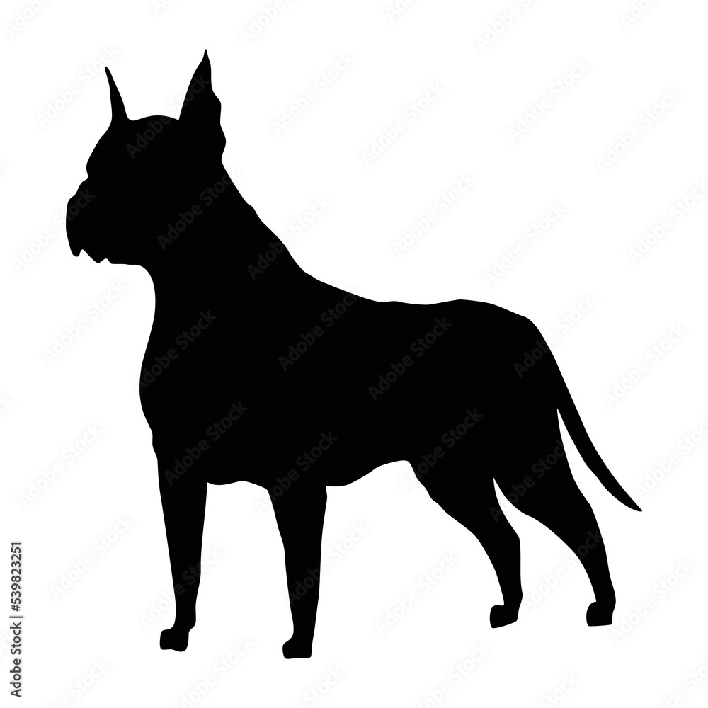 Dog silhouette, boxer breed. Side view pet stand icon in black color. Make used for dog show, competition, pet store, guide dog, veterinary, dog walking. Domestic animal isolated on white background